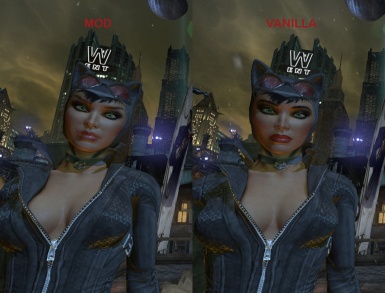 Arkham City Mods Catwoman